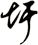 圩