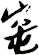 窀