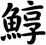 鯙