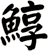 鯙