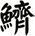 鱭