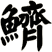 鱭