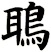 鵈