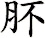 肧