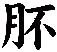 肧