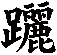躧