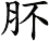 肧