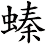 螓