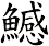 鱤