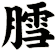 膤