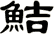 鮚