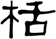 栝
