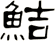 鮚