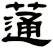 蓪