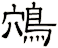 鴪