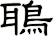 鵈