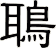 鵈