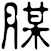 腜