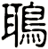 鵈