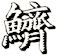 鱭