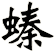 螓