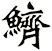 鱭
