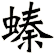 螓