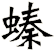 螓