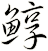 鯙
