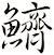 鱭