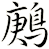 鶊