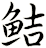 鮚