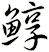 鯙