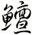 鱣