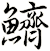 鱭