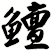 鱣