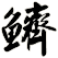 鱭