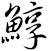 鯙