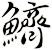 鱭
