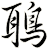 鵈