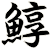 鯙