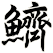 鱭