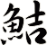 鮚