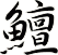 鱣