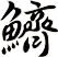 鱭