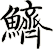 鱭