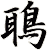 鵈