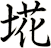 埖