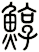 鯙