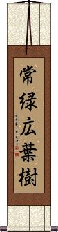 Scroll